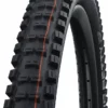 Schwalbe Big Betty Evo Super Ground 24x2,40" Addix Soft E-50 Pneus Pliants -Vision Soldes Schwalbe Big Betty Evo Super Ground 11654323 a